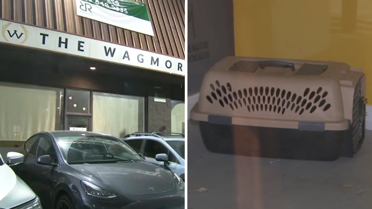 Lawsuit accuses Los Angeles animal rescue of running puppy laundering operation
— WABC-TV Eyewitness News (ABC7 NY)