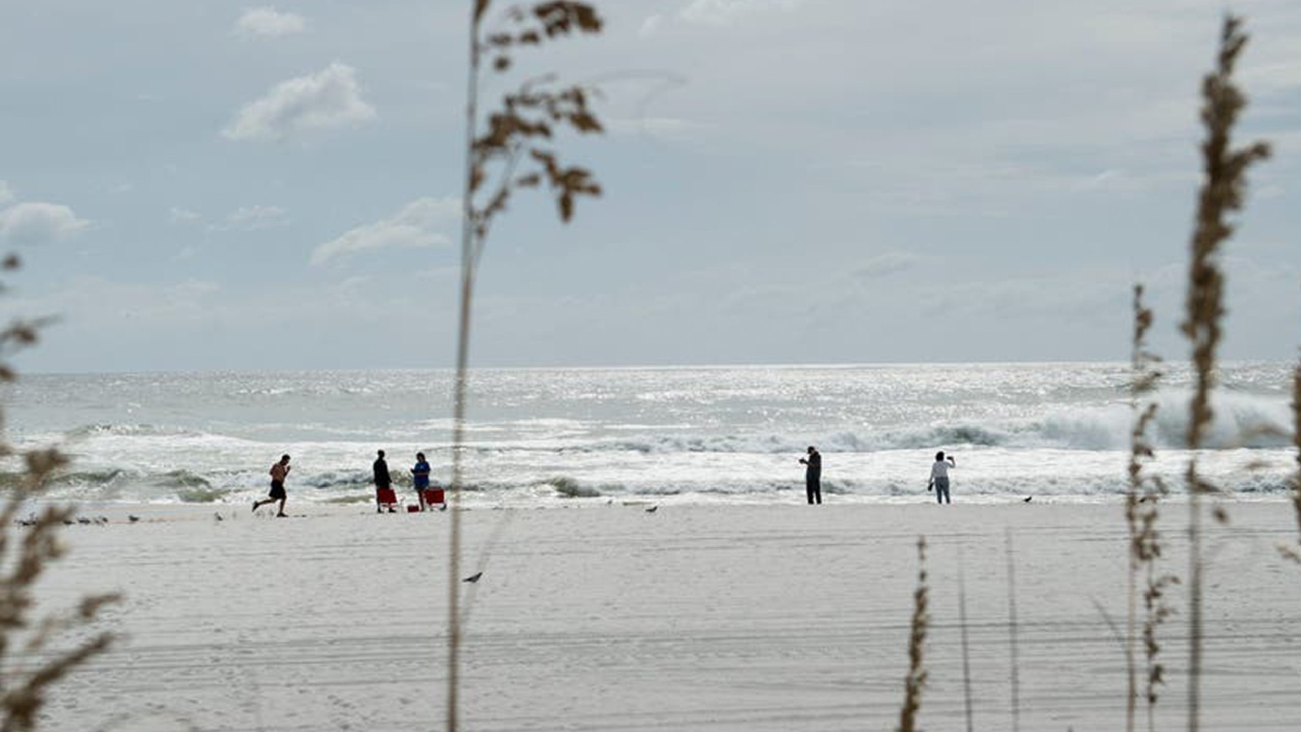 Father of 2 drowns after being caught in current trying to rescue seagull caught in fishing line — Levittown Community news